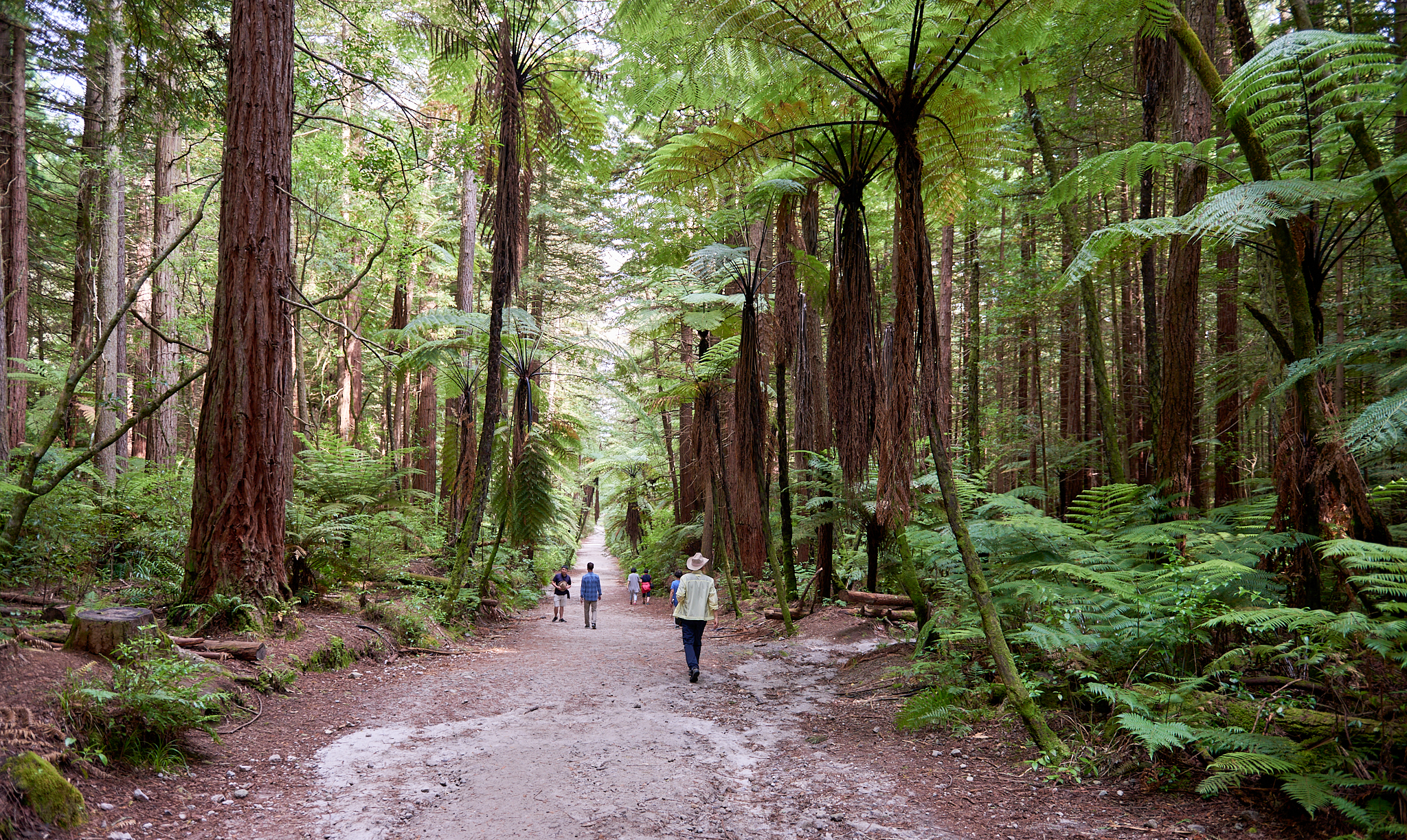 20180130 032 뉴질랜드 카레레